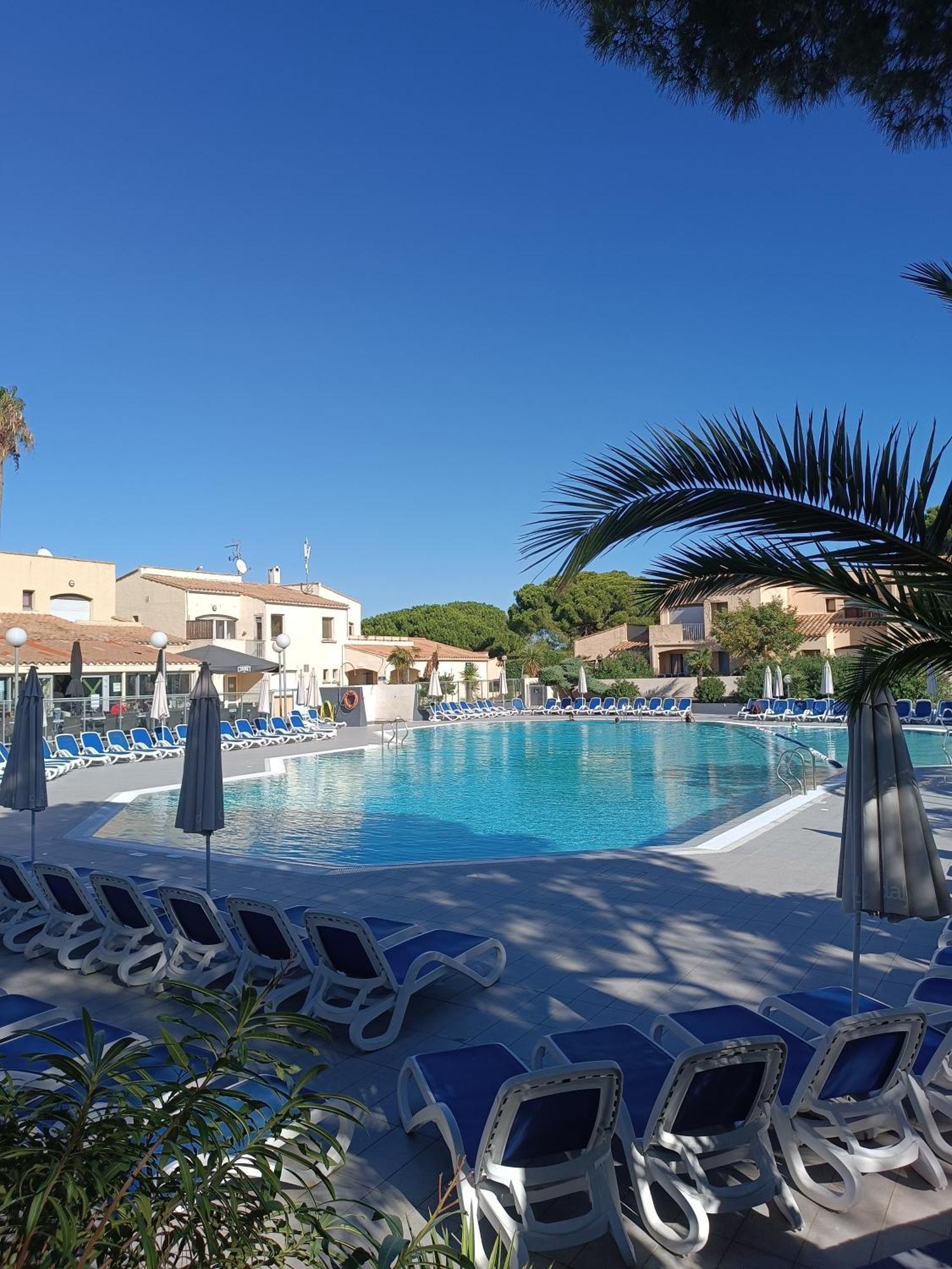 Studio Renove Dans Residence De Vacances Avec Grande Piscine Chauffee, Parking Et Terrasse Agde Exterior foto